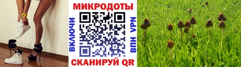 Псилоцибиновые грибы Magic Shrooms  Талдом 
